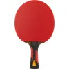 Ракетка для н/т DOUBLE FISH 7A+C, для професс.,ITTF Appr.,накл.2,1мм,+ 2 мяча V40+мм ITTF Appr за 3&nbsp;559.80 ₽ купить в Петрозаводске