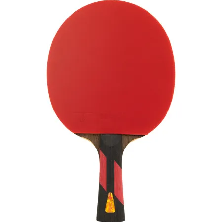 Ракетка для н/т DOUBLE FISH 7A+C, для професс.,ITTF Appr.,накл.2,1мм,+ 2 мяча V40+мм ITTF Appr за 3&nbsp;559.80 ₽ купить в Петрозаводске