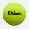 Мяч для падела Wilson Premier Padel, WR8908401001, уп.3 шт, FIP Approved, войлок, нат.резина,желтый за 1&nbsp;198.50 ₽ купить в Петрозаводске