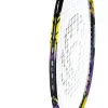 Ракетка бадм. TORRES Carbon PRO6, BD20521,для продв., стерж/обод из карбона,со струнами, фиол за 4&nbsp;477.80 ₽ купить в Петрозаводске