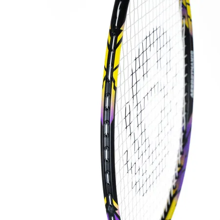 Ракетка бадм. TORRES Carbon PRO6, BD20521,для продв., стерж/обод из карбона,со струнами, фиол за 4&nbsp;477.80 ₽ купить в Петрозаводске
