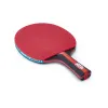 Ракетка для н/т DOUBLE FISH, CK-205, для любителей, ITTF,наклад. 2.0 мм, конич. ручка + сумка-чехол за 1&nbsp;490.90 ₽ купить в Петрозаводске