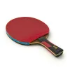 Ракетка для н/т DOUBLE FISH 7A+C, для професс.,ITTF Appr.,накл.2,1мм,+ 2 мяча V40+мм ITTF Appr за 3&nbsp;559.80 ₽ купить в Петрозаводске