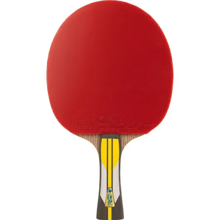 Ракетка для н/т DOUBLE FISH 6A+C, для подвин.,ITTF Appr.,накл. 2,1 мм, конич. ручка+ 2 мяча V40+мм за 3&nbsp;442.50 ₽ купить в Петрозаводске