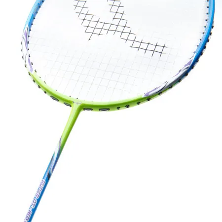 Ракетка для бадм. DOUBLE FISH JINQUE QT-1601, для продвинутых,карбон со струнами,литая,голубой за 3&nbsp;015.80 ₽ купить в Петрозаводске