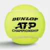 Мяч теннисный Dunlop ATP Championship 4B, 601627, уп.4ш, одобр. ITF, нат.резина,фетр. за 1&nbsp;242.70 ₽ купить в Петрозаводске