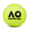 Мяч теннисный Dunlop Australian Open, 601601, уп..3 шт, одобр.ITF,фетр,нат.резина, желтый за 1&nbsp;171.30 ₽ купить в Петрозаводске