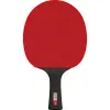 Ракетка для н/т DOUBLE FISH Black Carbon King Racket 5*****, для професс.,ITTF Appr.,накл.2,1,мм за 6&nbsp;434.50 ₽ купить в Петрозаводске
