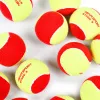 Мяч теннисный детский NS Red, 5021009, уп.12 шт, резина, шерть, нейлон, желто-красный за 2&nbsp;941 ₽ купить в Петрозаводске