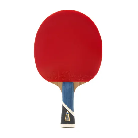 Ракетка для н/т DOUBLE FISH 5A+C, для продвин, ITTF Appr, накл. 2,1 мм, конич. ручка+ 2 мяча V40+мм за 2&nbsp;779.50 ₽ купить в Петрозаводске