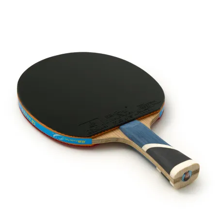 Ракетка для н/т DOUBLE FISH 5A+C, для продвин, ITTF Appr, накл. 2,1 мм, конич. ручка+ 2 мяча V40+мм за 2&nbsp;779.50 ₽ купить в Петрозаводске