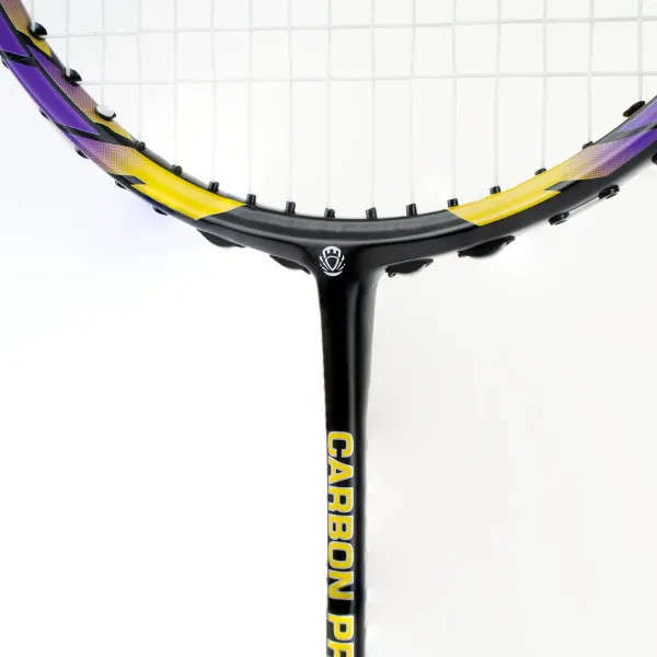 Ракетка бадм. TORRES Carbon PRO6, BD20521,для продв., стерж/обод из карбона,со струнами, фиол за 4&nbsp;477.80 ₽ в Петрозаводске