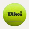 Мяч для падела Wilson Premier Padel Speed, WR8908501001, уп.3 шт, FIP Appr.,сукно, нат.резина,желтый за 1&nbsp;235.90 ₽ купить в Петрозаводске