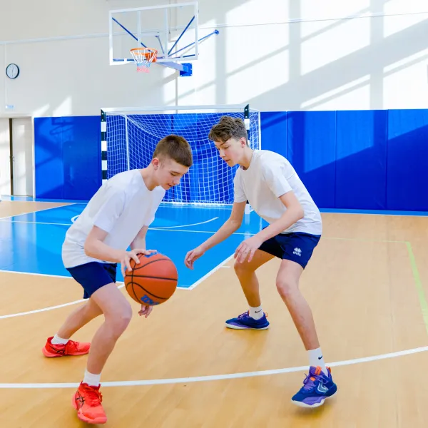 Щит баскетбольный игровой (монолитный поликарбонат) 1050х1800 мм ZAVODSPORTA за 47&nbsp;600 ₽ в Петрозаводске